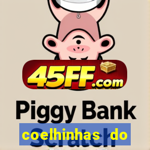 coelhinhas do brasil acompanhantes